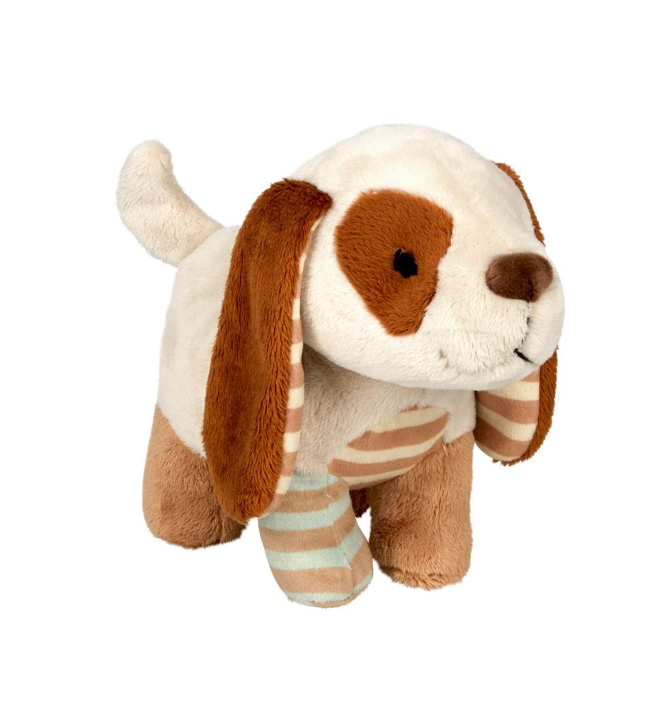 El dulce perrito favorito de felpa te está esperando 